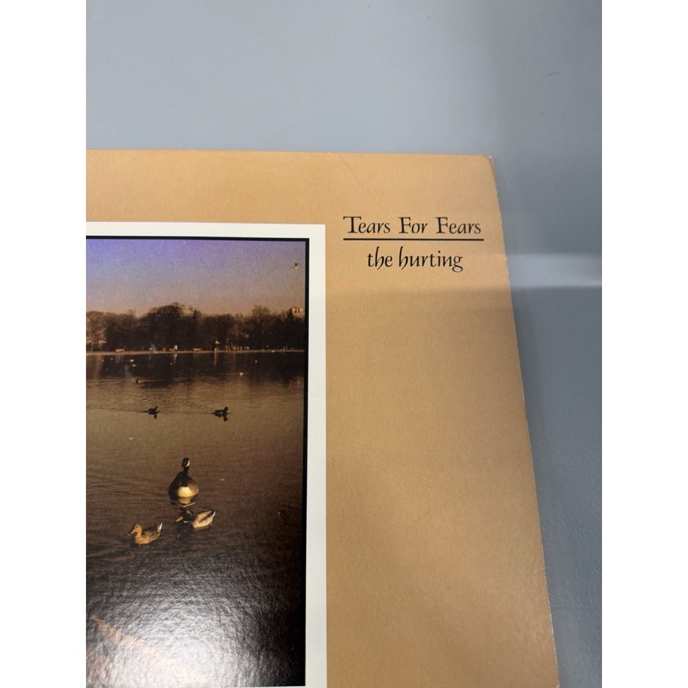 Tears For Fears: The Hurting - Vinyl - 1983 Mercury 422 811 039-1 M-1 - Picture 3 of 16